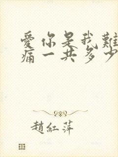 爱你是我难言的痛一共多少章