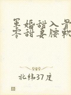 军婚甜入骨,九零甜妻腰软心野连载