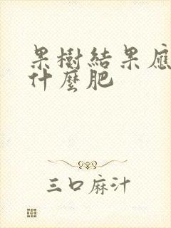 果树结果应该施什么肥