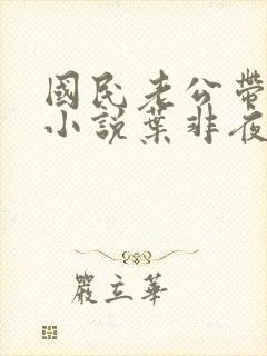 国民老公带回家小说叶非夜
