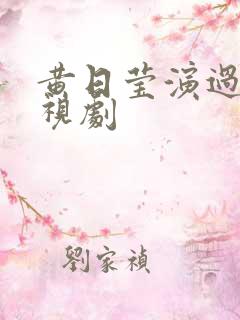 黄日莹演过的电视剧