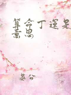 算命丁运是什么意思