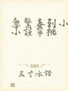 忽惊春到小桃枝小说宁桃