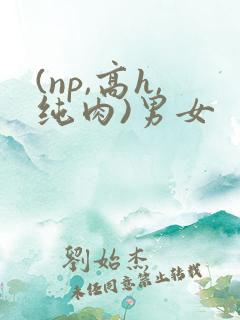 (np,高h,纯肉)男女