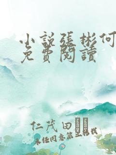 小说张彬何婉月免费阅读
