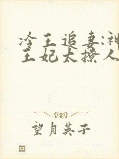 冷王追妻:神医王妃太撩人