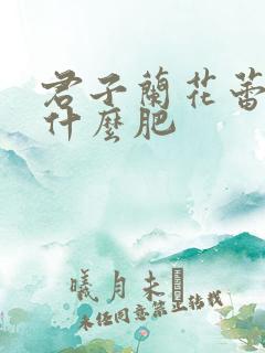 君子兰花蕾期施什么肥