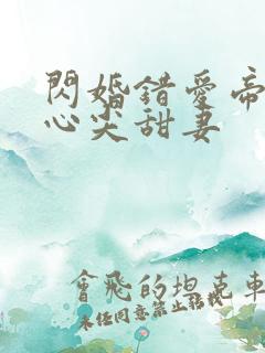 闪婚错爱帝少的心尖甜妻