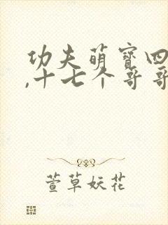 功夫萌宝四岁半,十七个哥哥团宠我