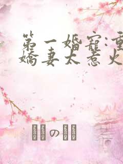 第一婚宠:重生娇妻太惹火 清歌一片