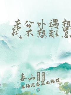 老公外遇想离婚我不想离怎么办