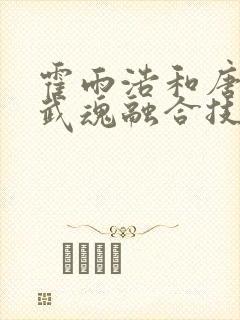 霍雨浩和唐舞桐武魂融合技