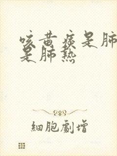 咳黄痰是肺寒还是肺热