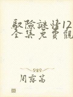 驭险谜情12集全集免费观看高清