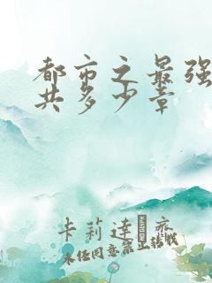 都市之最强狂兵共多少章