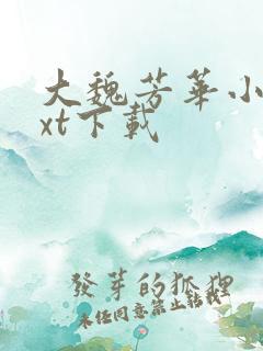 大魏芳华小说txt下载 大魏芳华小说txt下载