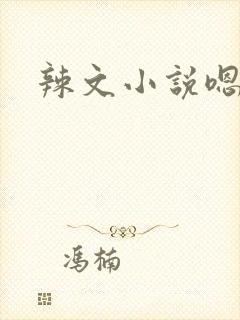辣文小说嗯啊