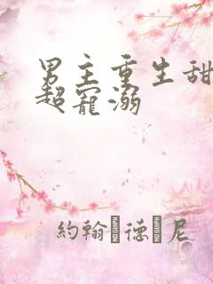 男主重生甜宠文超宠溺