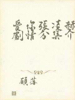爱你张凌赫分集剧情分集介绍