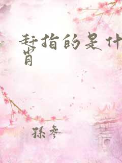 赶指的是什么生肖