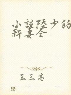 小说陆少的暖婚新妻全