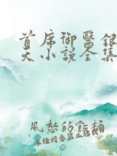 首席御医银河九天小说全集免费