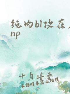 纯肉bl攻在尿np