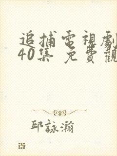 追捕电视剧 共40集 免费观看
