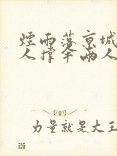 烟雨落京城,一人撑伞两人行