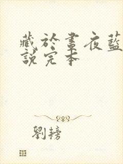 藏于昼夜蓝掉小说完本