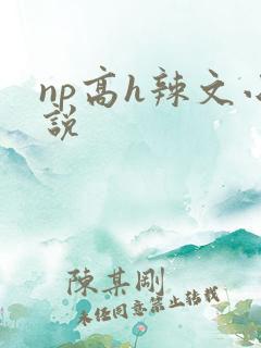 np高h辣文小说