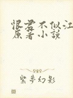 恨君不似江楼月原著小说