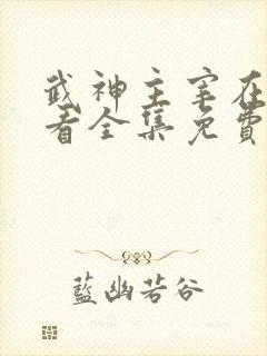 武神主宰在线观看全集免费播放