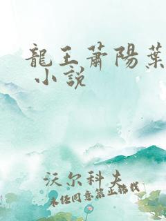 龙王萧阳叶云舒 小说