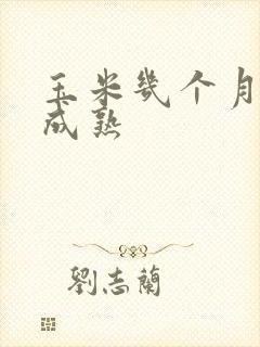 玉米几个月可以成熟