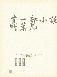 有一部小说主角叫叶凡