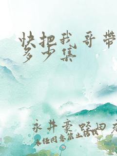 快把我哥带走共多少集