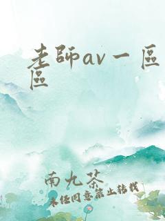 老师av一区二区