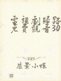 电视剧归路全集免费观看30集高清