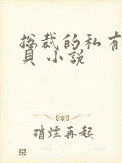 总裁的私有小宝贝 小说