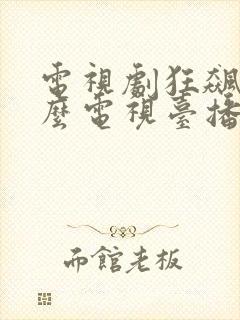 电视剧狂飙在什么电视台播放