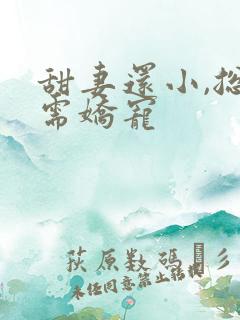 甜妻还小,总裁需娇宠