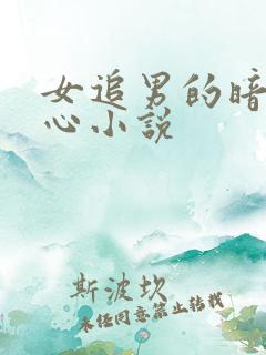 女追男的暗恋虐心小说
