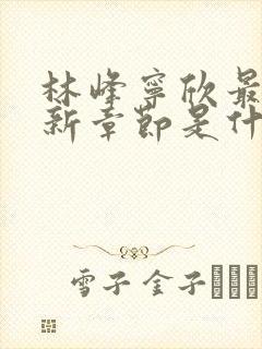 林峰宁欣最新更新章节是什么内容