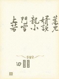 上门龙婿叶凡唐若雪小说免费阅读全文