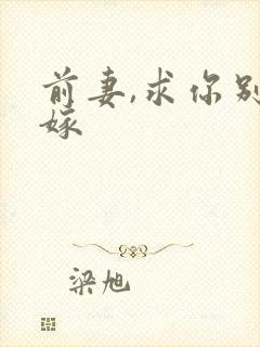 前妻,求你别改嫁