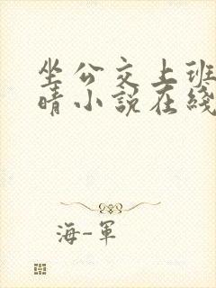 坐公交上班的苏晴小说在线阅读