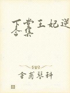 下堂王妃逆袭记合集