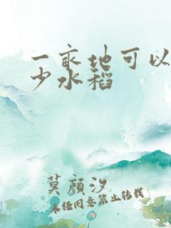 一亩地可以产多少水稻