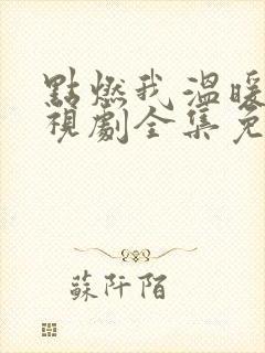 点燃我温暖你电视剧全集免费